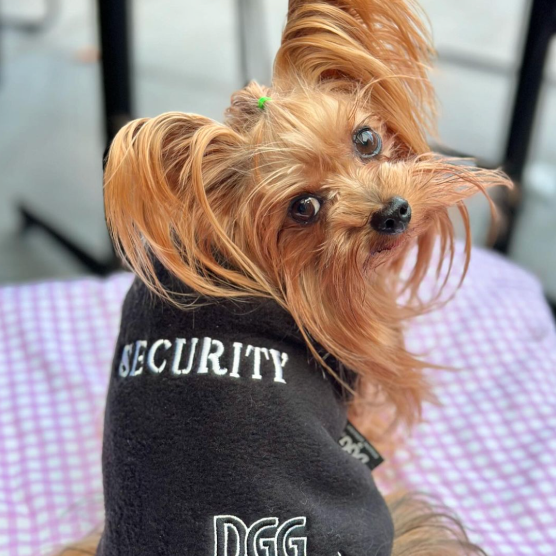 DGG Black Security Polar Fleece Warmie Dog Jumper On Yorkie