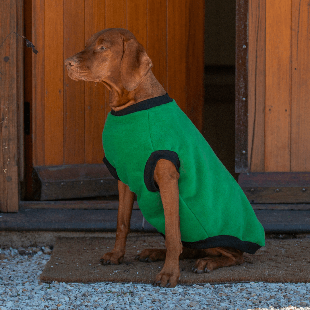 DGG Basil Green Polar Fleece Dog Warmie - My Pooch and Me