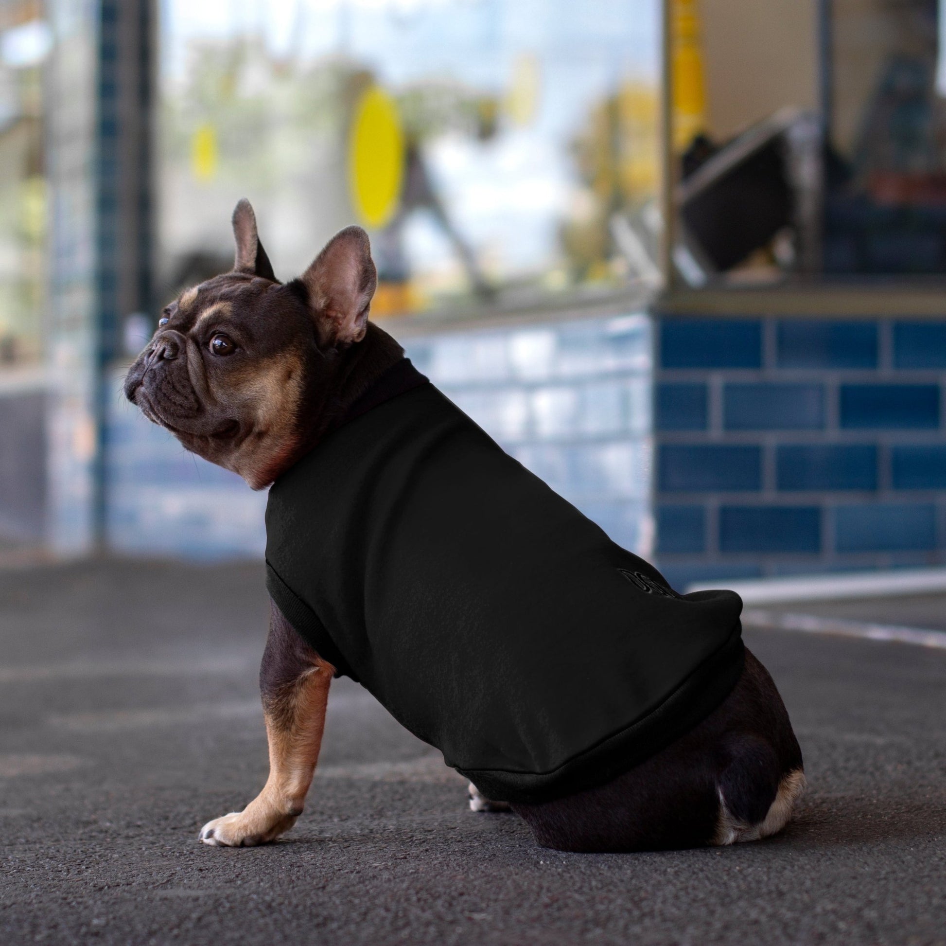 DGG Black Polar Fleece Dog Warmie - My Pooch and Me