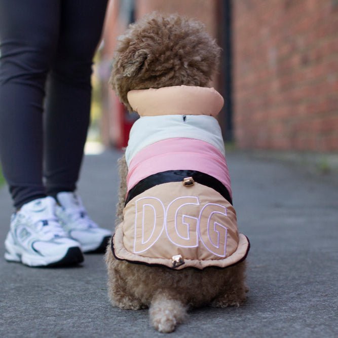 DGG Downward Dog Pup Nation Dog Coat - My Pooch and Me