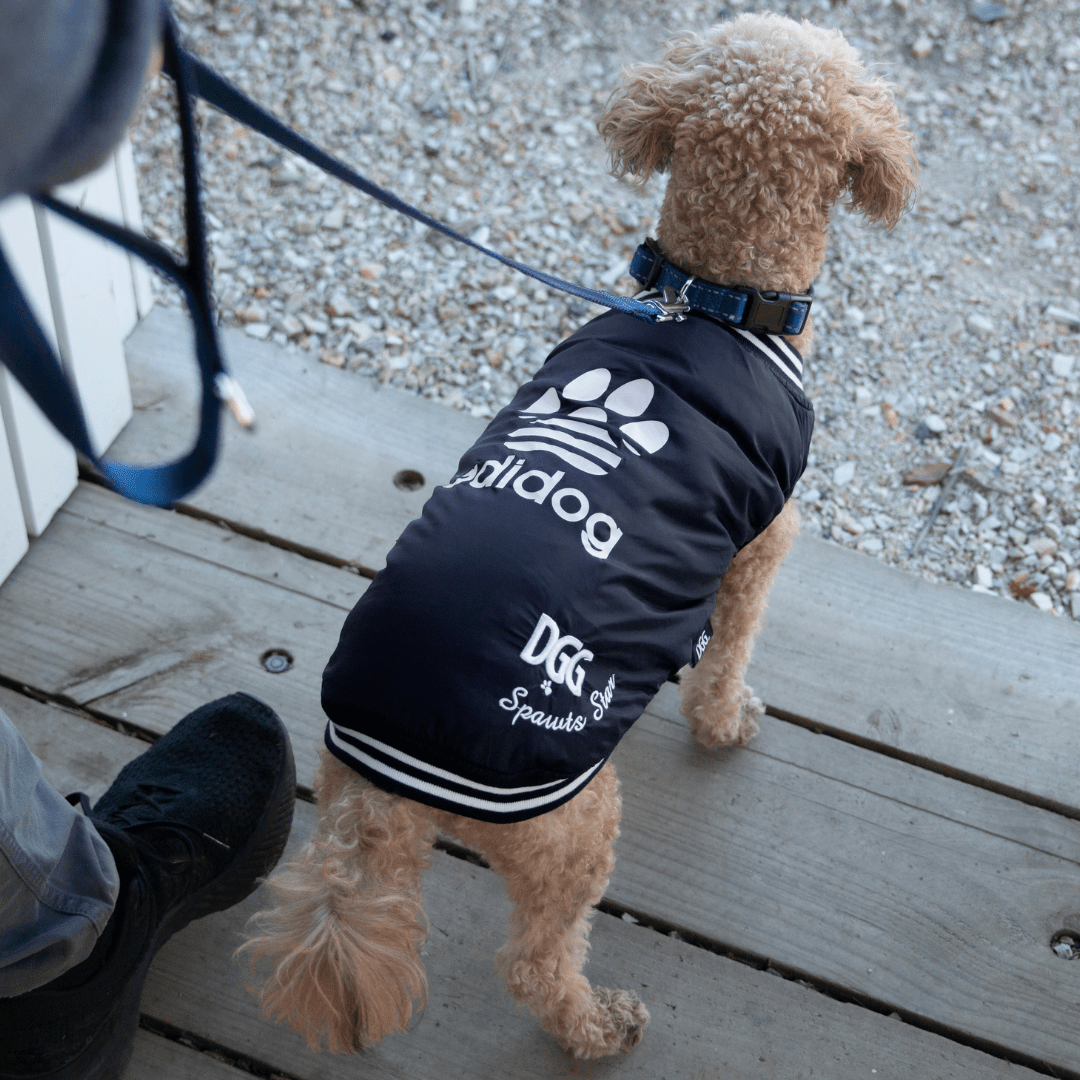 DGG Fashionista Adidog Bomber Jacket - My Pooch and Me