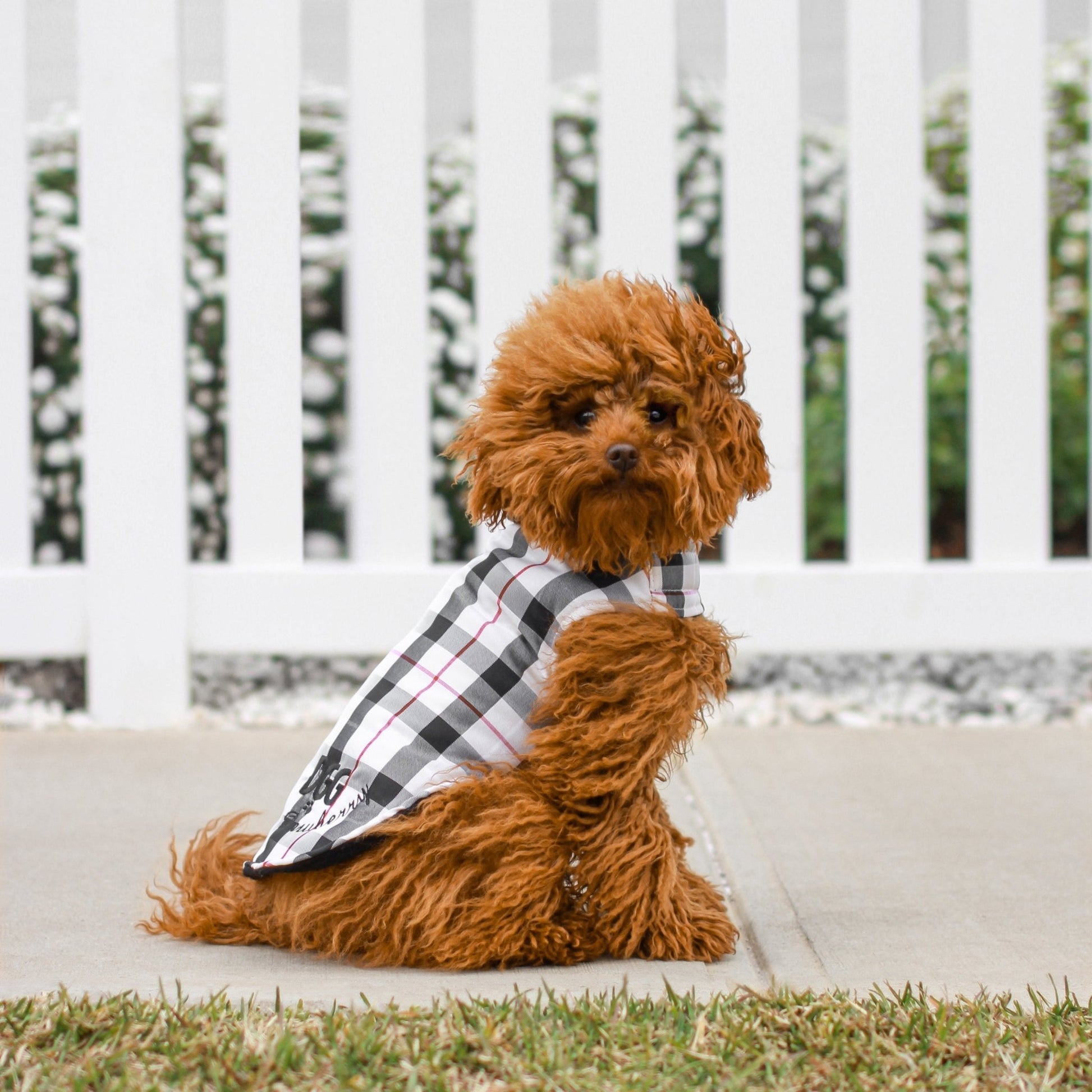DGG Fashionista Pawberry Reversible Quilted Dog Coat - My Pooch and Me