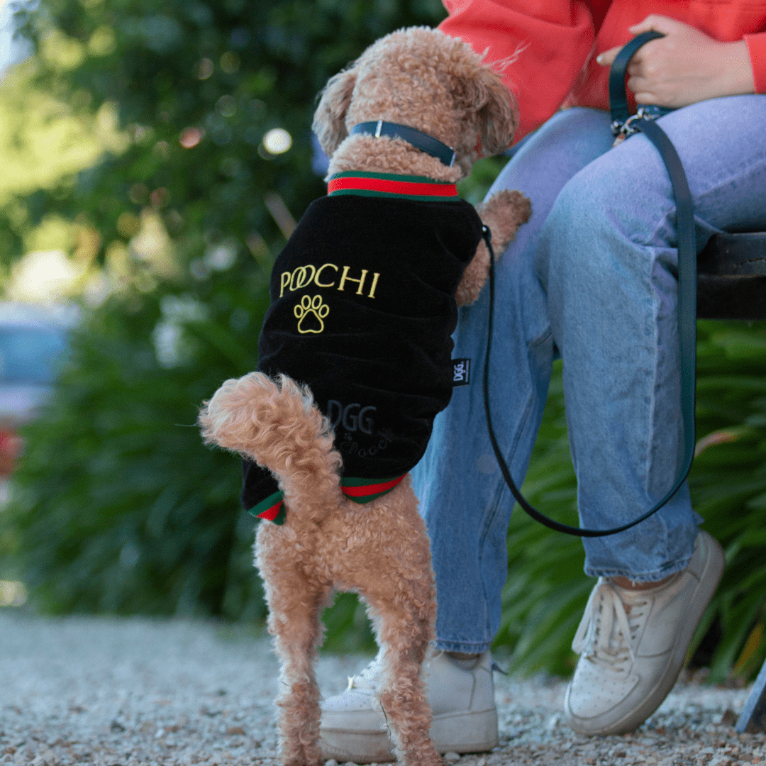 DGG Fashionista Poochi Bomber Jacket - My Pooch and Me