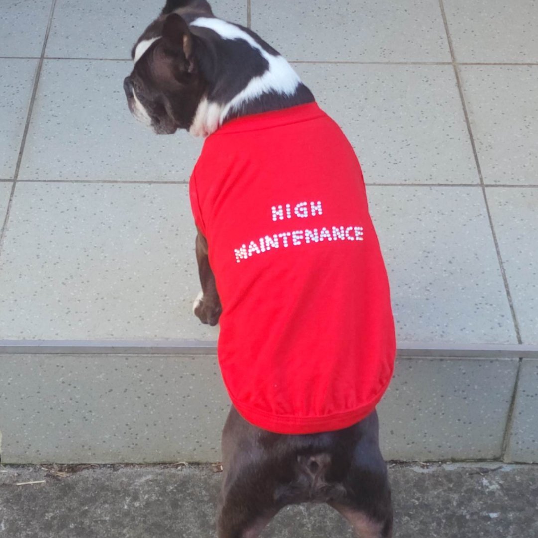 DGG Red High Maintenance Dog T-Shirt - My Pooch and Me