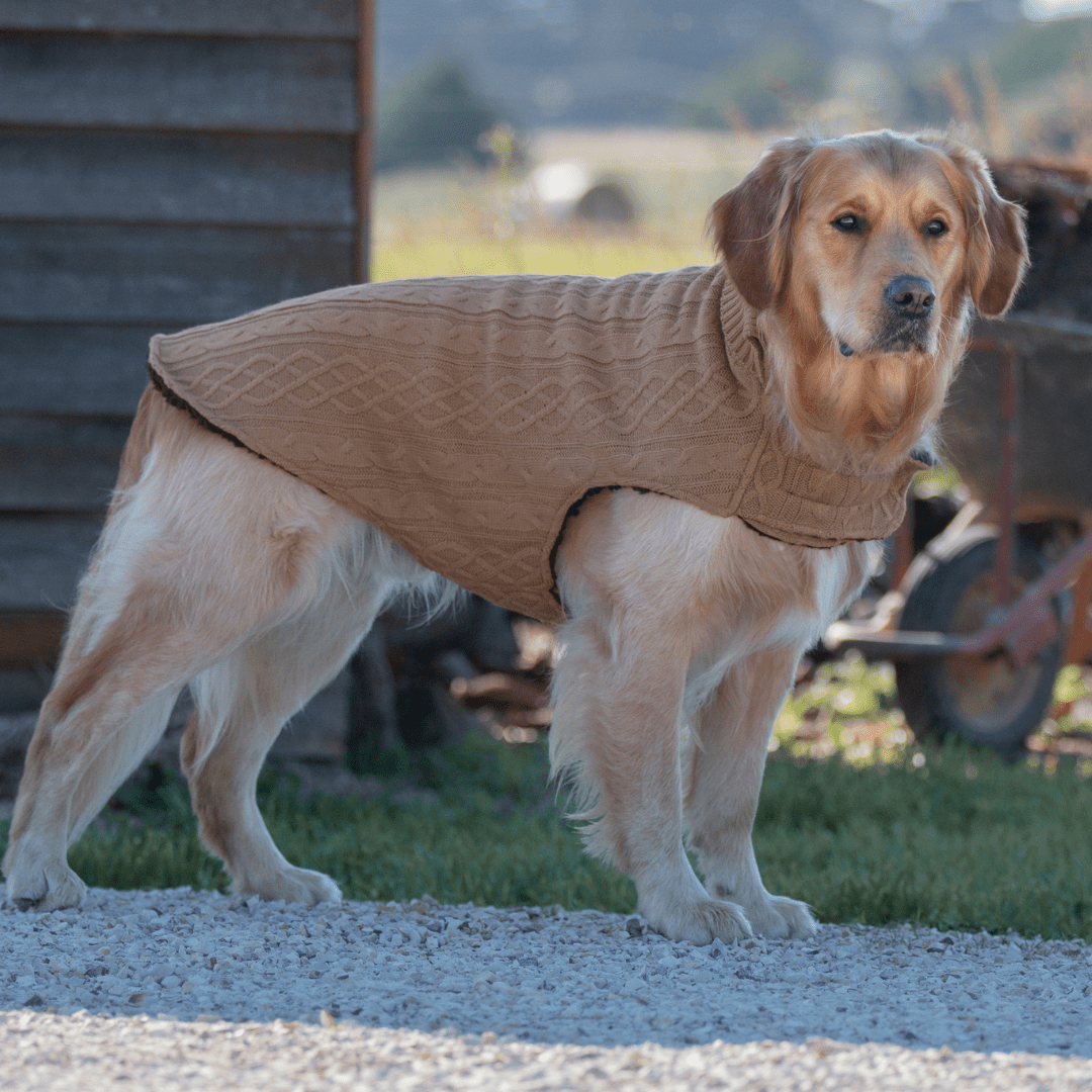 Ruff N Rugged Caramel Wooley Knit Dog Coat - My Pooch and Me