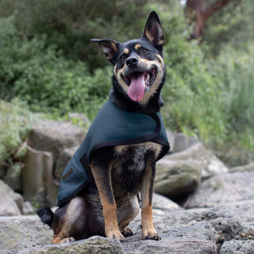 Ruff N Rugged E - Z Slate Blue Dog Coat - My Pooch and Me