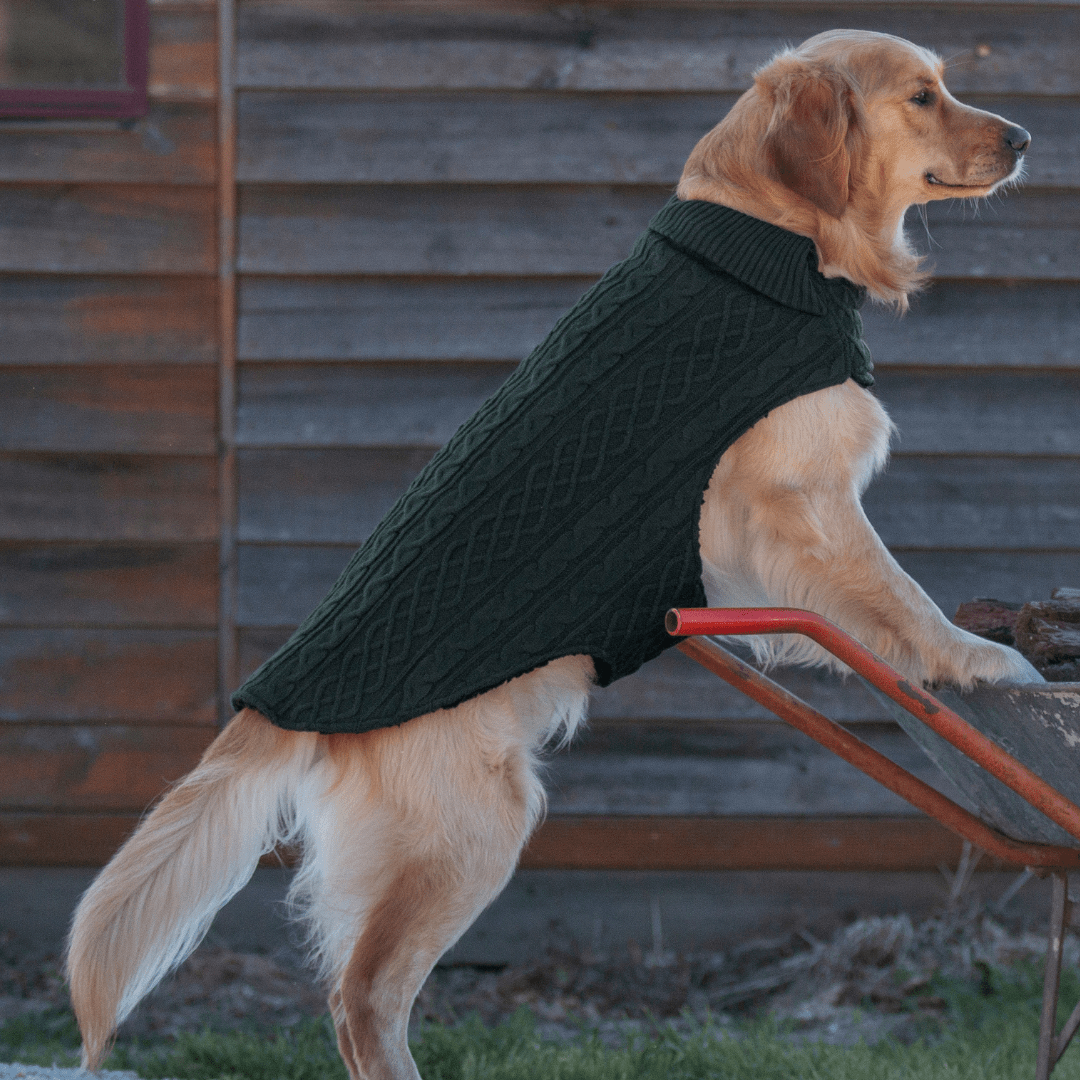 Ruff N Rugged Forest Green Wooley Knit Dog Coat - My Pooch and Me