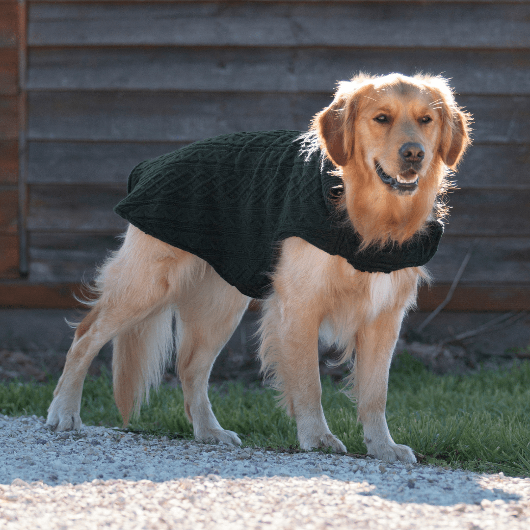 Ruff N Rugged Forest Green Wooley Knit Dog Coat - My Pooch and Me