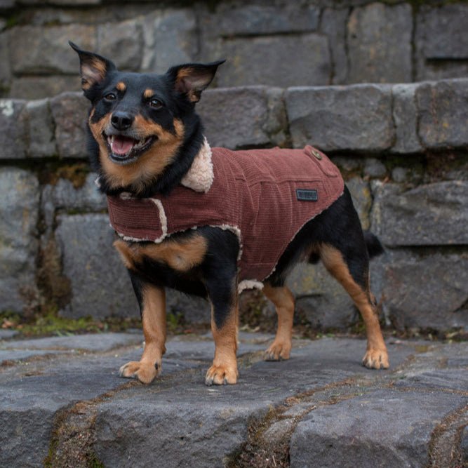 Ruff N Rugged Merlot Corduroy Dog Coat - My Pooch and Me