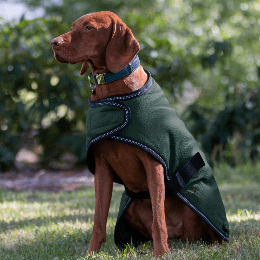 Ruff N Rugged Moss Green Mortech Rambler Dog Coat - My Pooch and Me