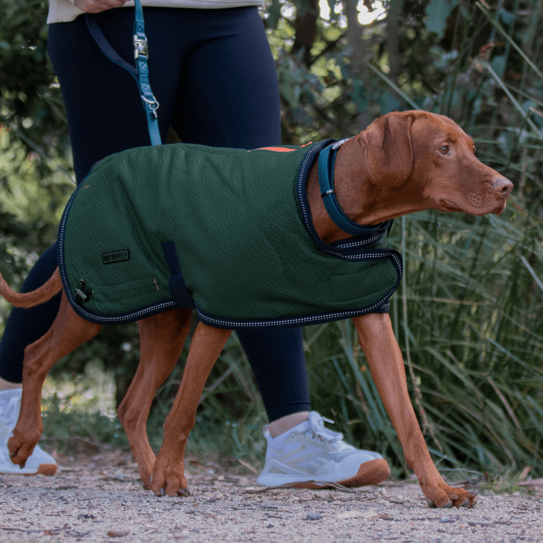 Ruff N Rugged Moss Green Mortech Rambler Dog Coat - My Pooch and Me