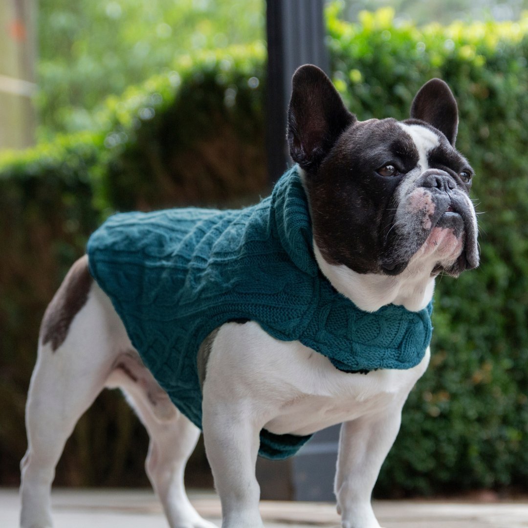 Ruff N Rugged Ocean Wooley Knit Dog Coat - My Pooch and Me