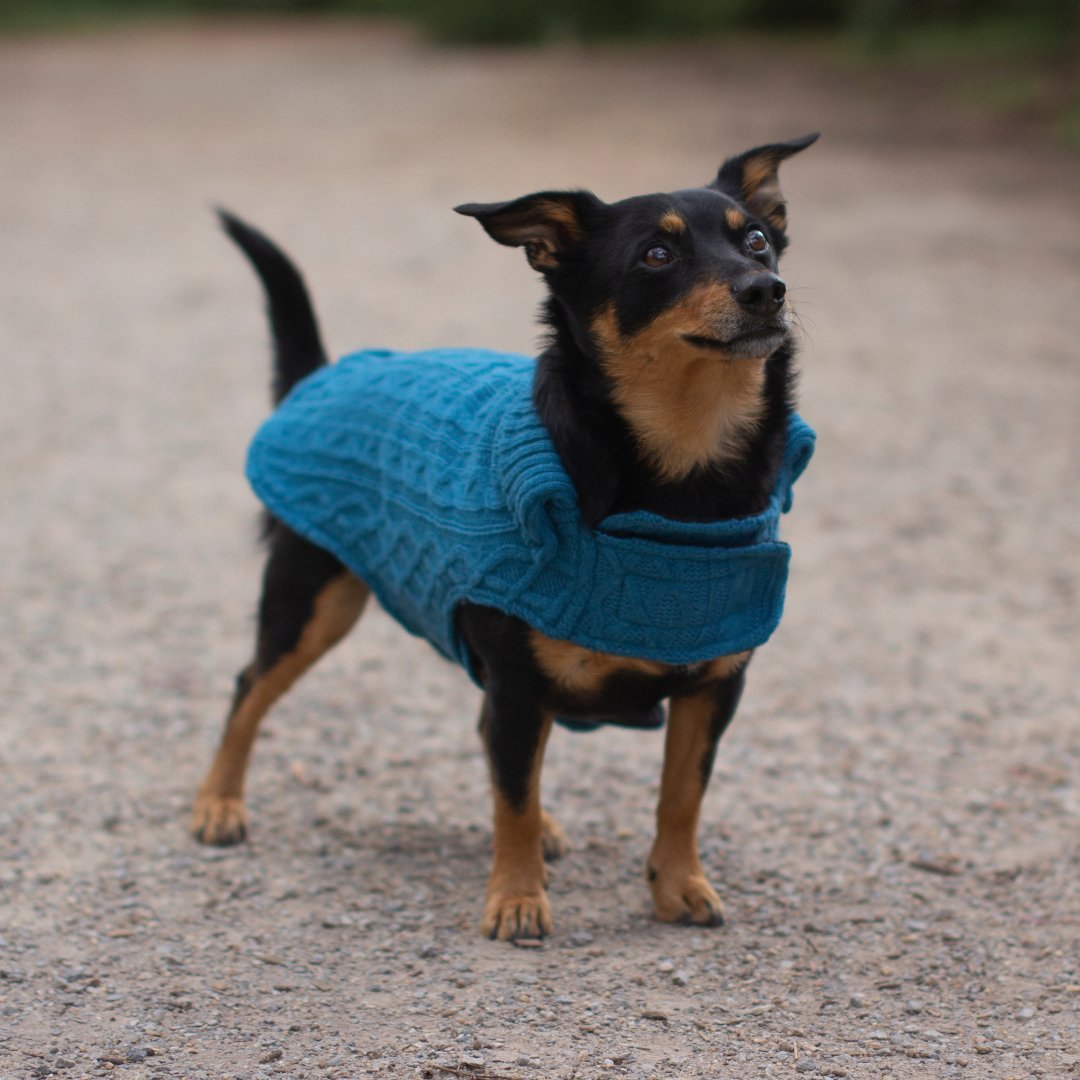 Ruff N Rugged Ocean Wooley Knit Dog Coat - My Pooch and Me