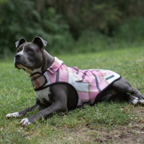 Ruff N Rugged Pink Flannelette Dog Coat - My Pooch and Me