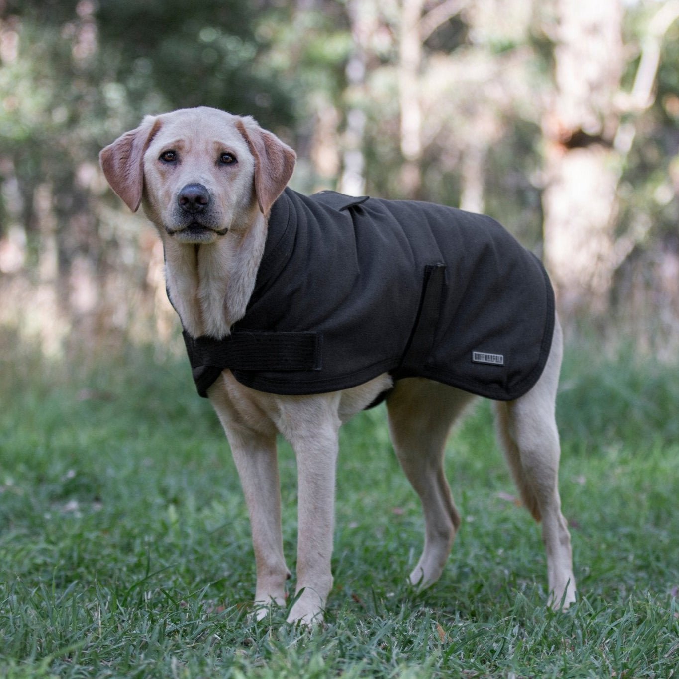 Ruff N Rugged Water - Resistant Black Canvas Dog Coat - My Pooch and Me