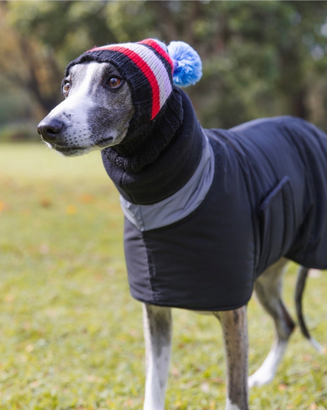 Wriggley Diggley Black Barka Parka Longbody Dog Coat With Reflectors - My Pooch and Me