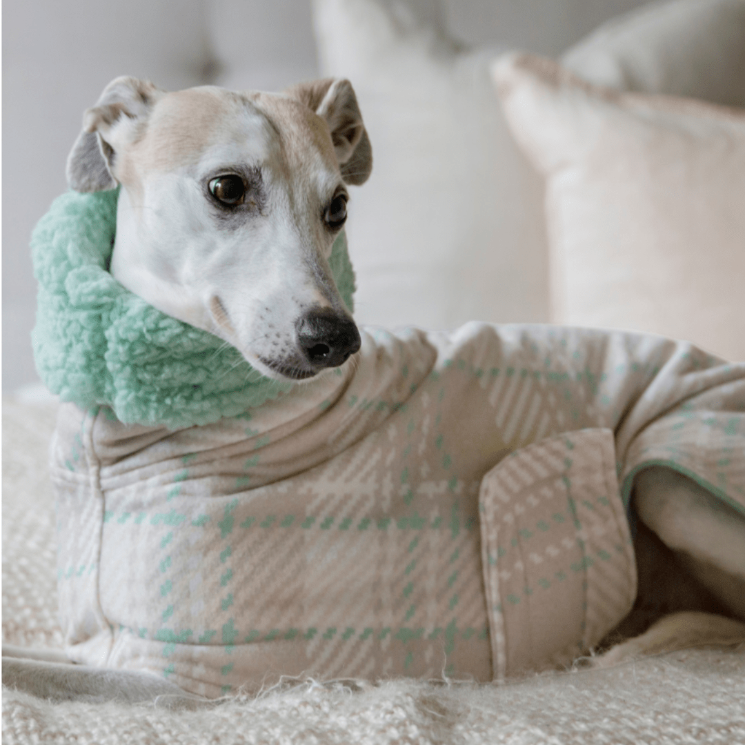 Wriggley Diggley Pastel Plaid Homebody Polar Fleece Dog Snug - My Pooch and Me