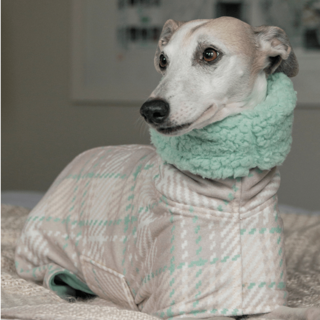 Wriggley Diggley Pastel Plaid Homebody Polar Fleece Dog Snug - My Pooch and Me