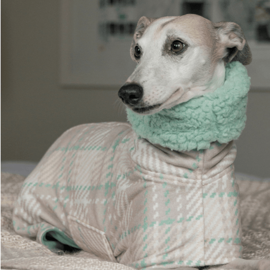 Wriggley Diggley Pastel Plaid Homebody Polar Fleece Dog Snug - My Pooch and Me