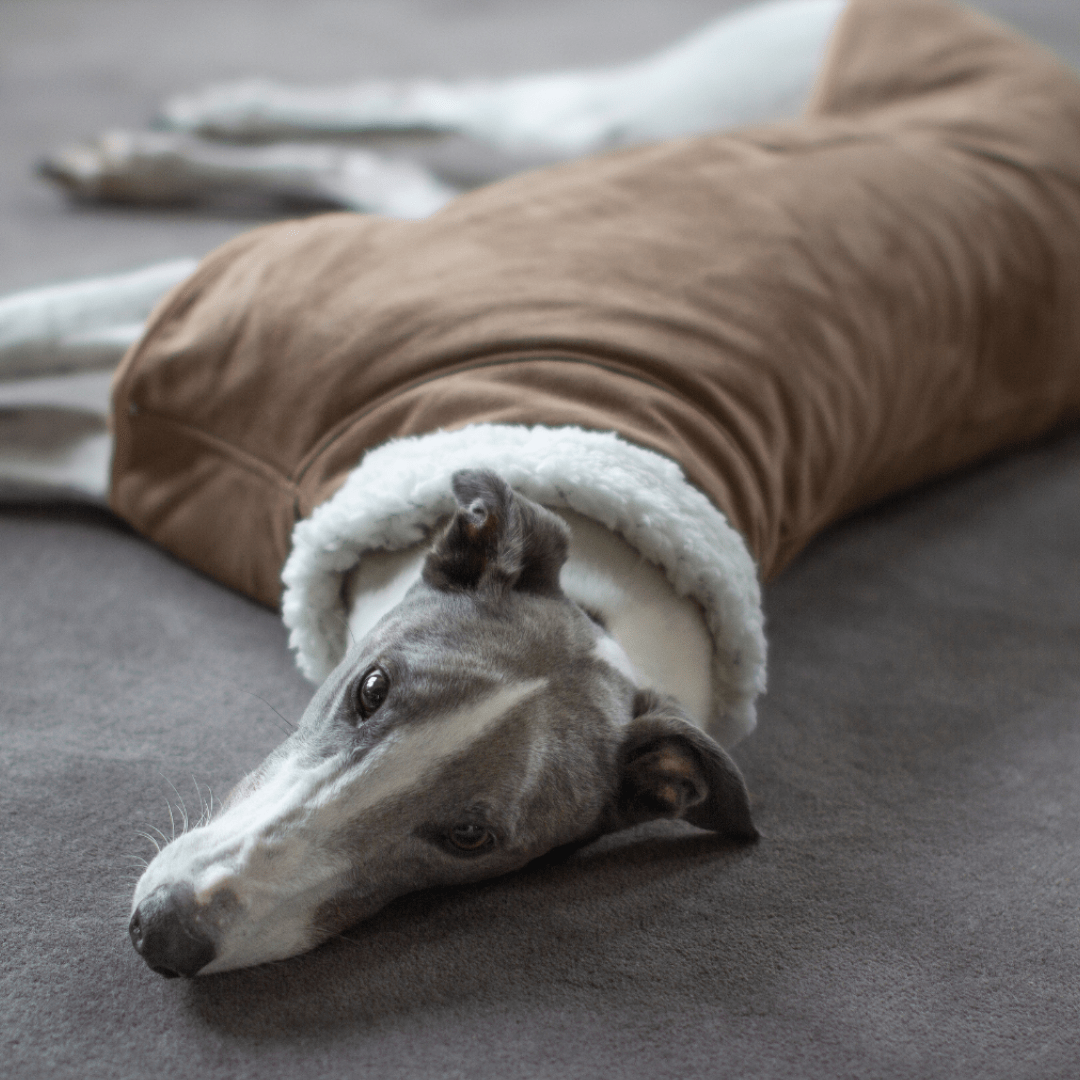 Wriggley Diggley Sherpa Polar Fleece Dog Snug - My Pooch and Me