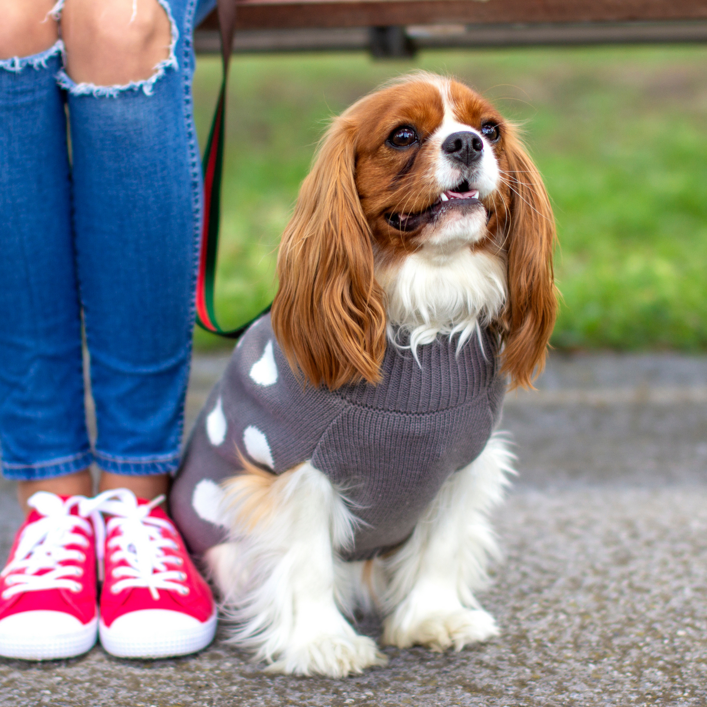 DGG Grey Dot Knitted Dog Jumper