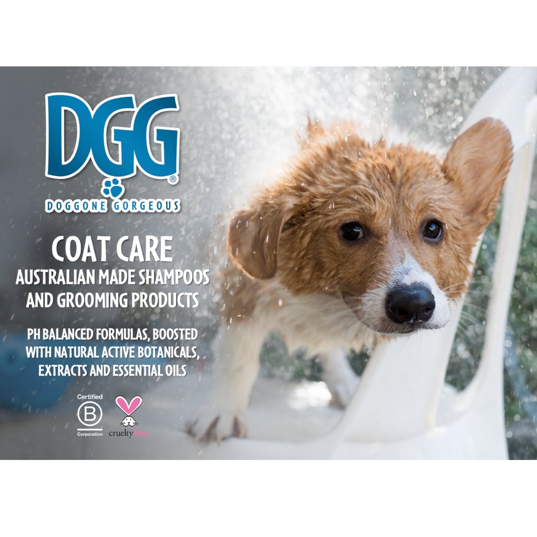 Coat Care - My Pooch and Me