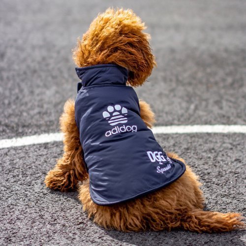Half Price Spawty Dog Coats - My Pooch and Me