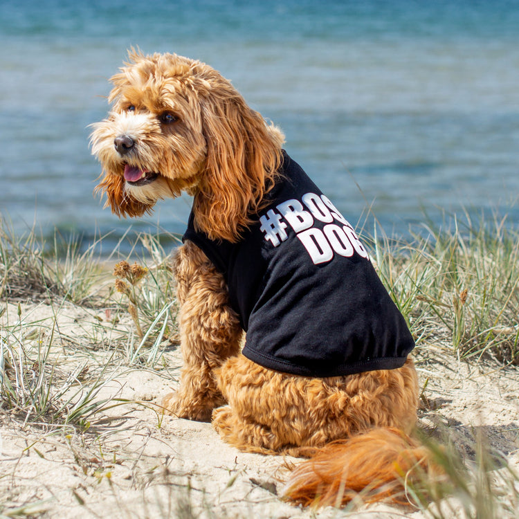 The DGG Tee - My Pooch and Me