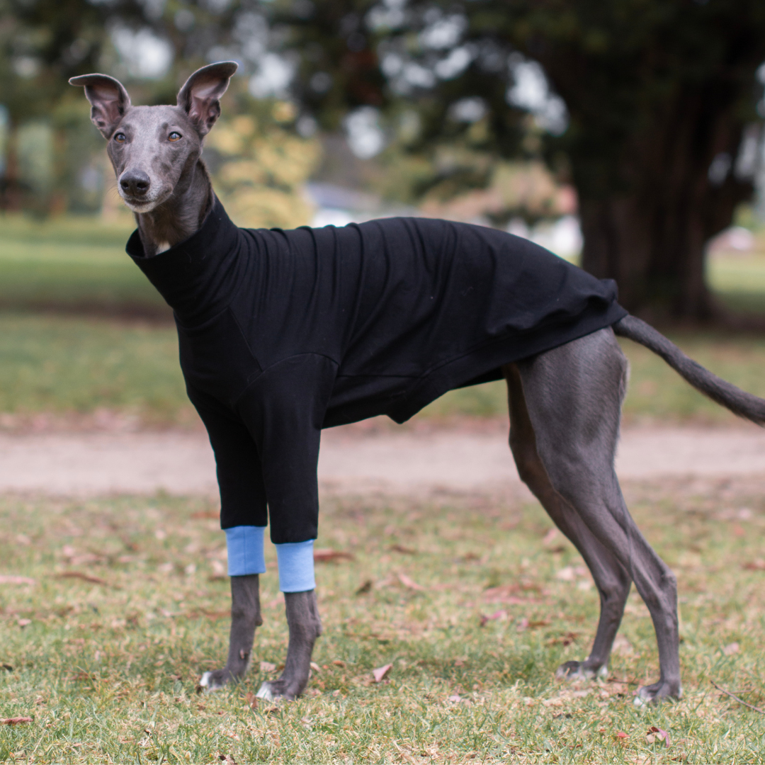 Wriggley Diggley Black All Day Long Dog Jumper