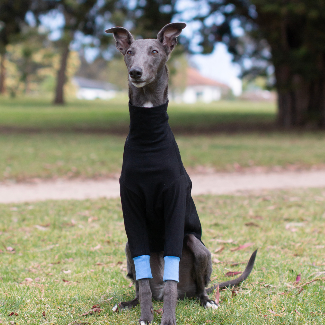 Wriggley Diggley Black All Day Long Dog Jumper