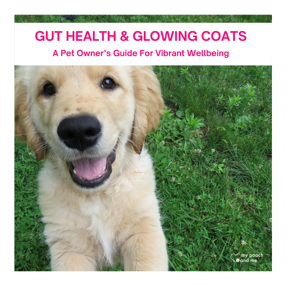 Gut Health & Glowing Coats Guide – My Pooch and Me