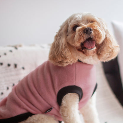 DGG Blush Pink Polar Fleece Warmie Dog Jumper On Dog