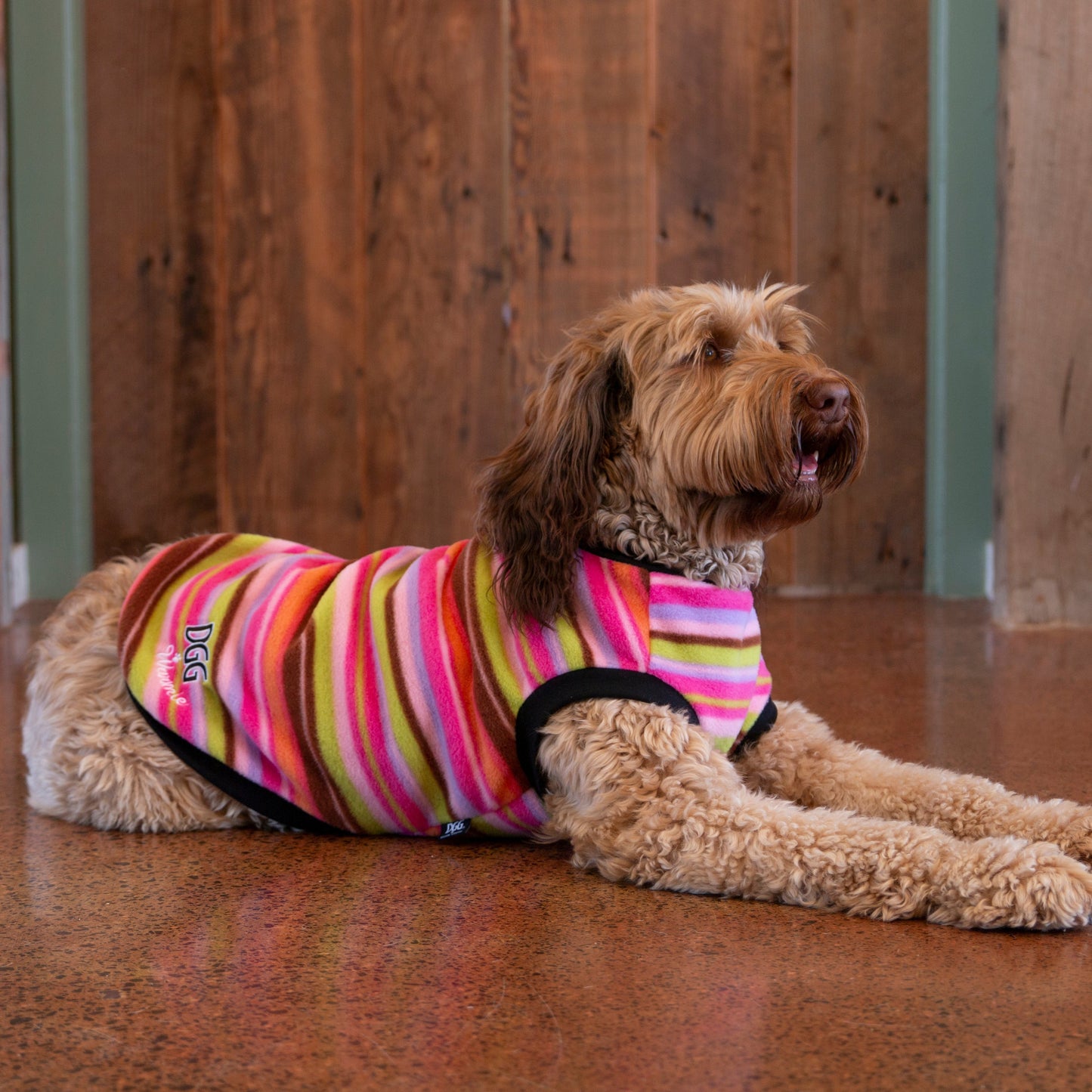 DGG Candy Stripe Polar Fleece Warmie Dog Jumper On Dog On Floor