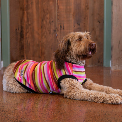 DGG Candy Stripe Polar Fleece Warmie Dog Jumper On Dog On Floor