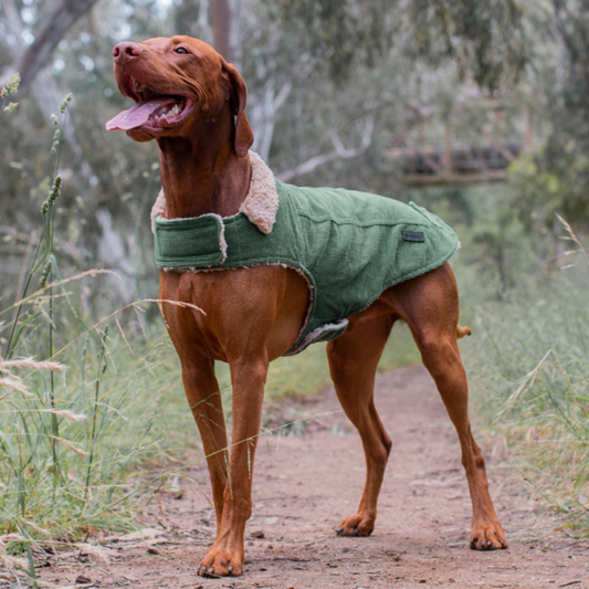 Ruff N Rugged Hunter Green Corduroy Dog Coat