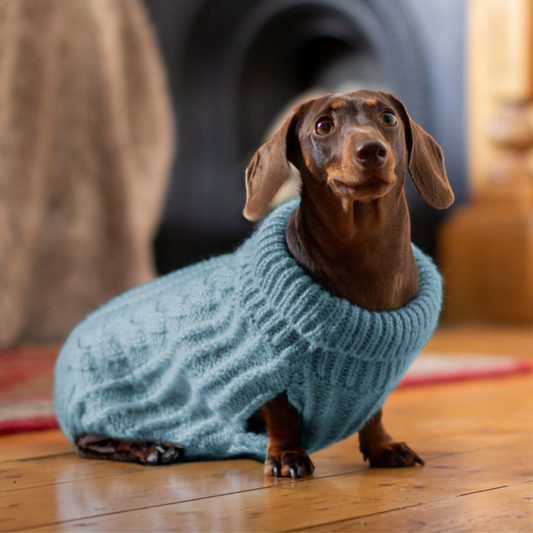 DGG Sky Blue Fluffy Cable Knitted Dog Jumper