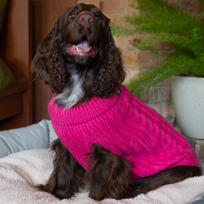 DGG Rhubarb Fluffy Cable Knitted Dog Jumper