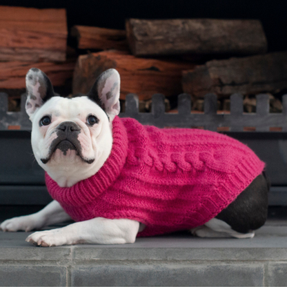 DGG Rhubarb Fluffy Cable Knitted Dog Jumper