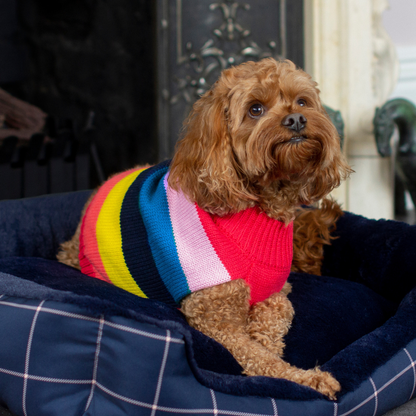 DGG Blue Stella Stripe Knitted Dog Jumper