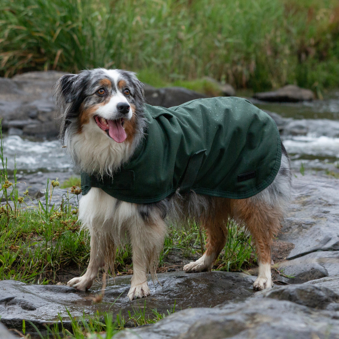 Ruff N Rugged Water-Resistant Moss Green Canvas Dog Coat
