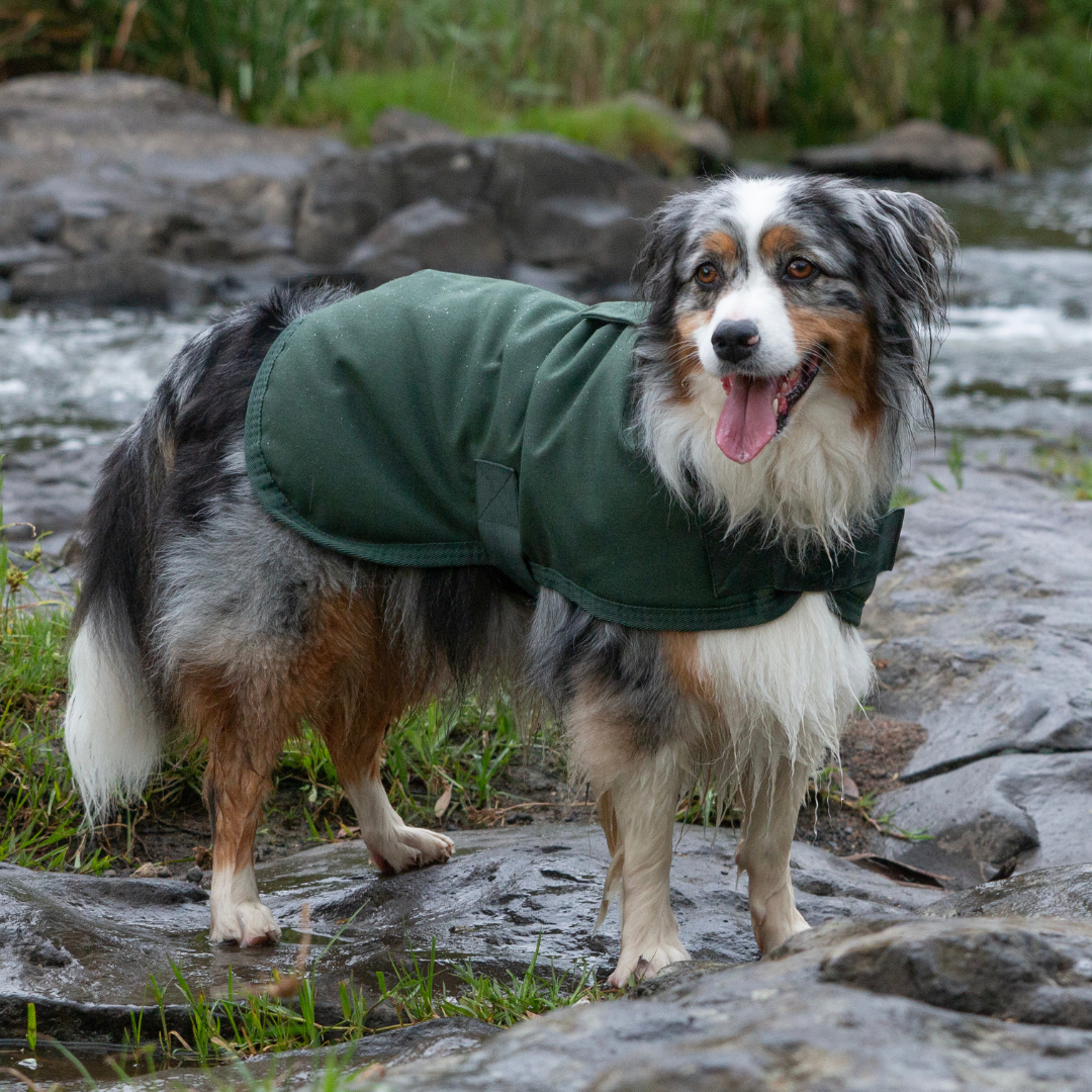 Ruff N Rugged Water-Resistant Moss Green Canvas Dog Coat