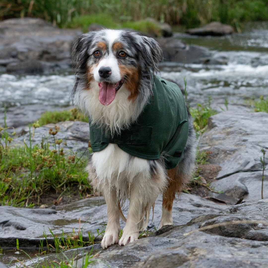 Ruff N Rugged Water-Resistant Moss Green Canvas Dog Coat