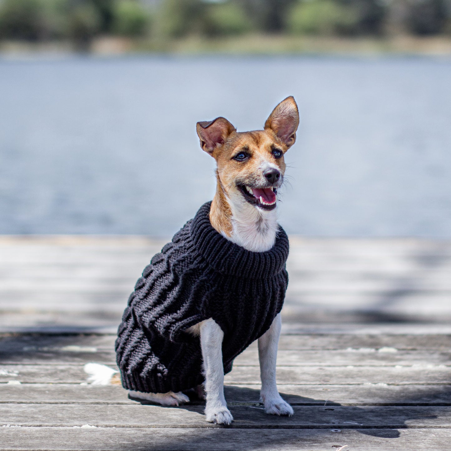 DGG Black Chunky Cable Knitted Dog Jumper