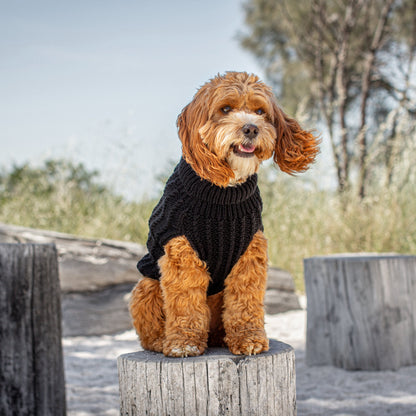 DGG Black Chunky Cable Knitted Dog Jumper