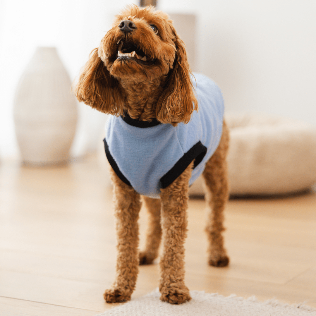 DGG Arctic Blast Polar Fleece Dog Warmie - My Pooch and Me