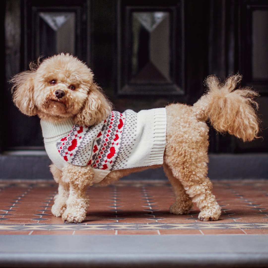 DGG Argyle Heart Knitted Dog Jumper - My Pooch and Me