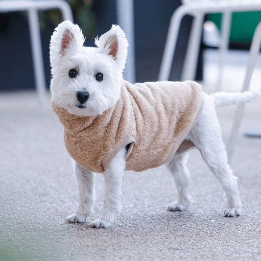 DGG Beige Snuggly Dog Jumper - My Pooch and Me