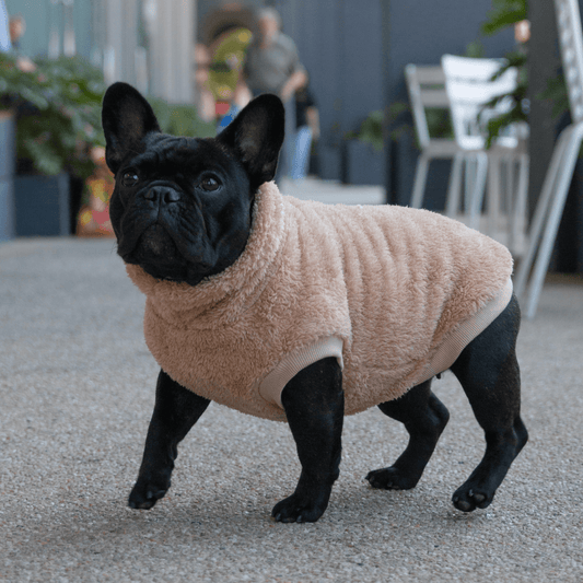 DGG Biscuit Snuggly Dog Jumper - My Pooch and Me