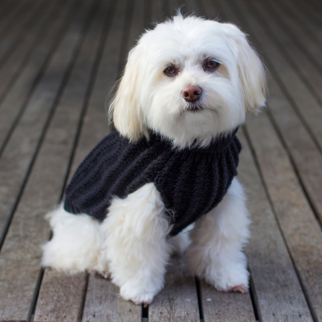 DGG Black Chunky Cable Knitted Dog Jumper - My Pooch and Me