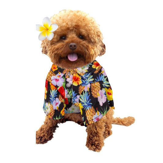 DGG Black Hawaiian Dog T-Shirt - My Pooch and Me